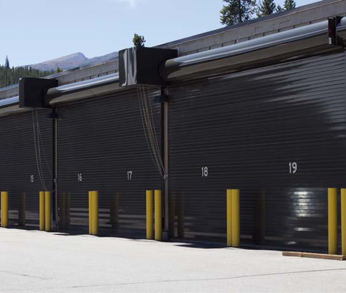 Clopay Thermiser Max Door
